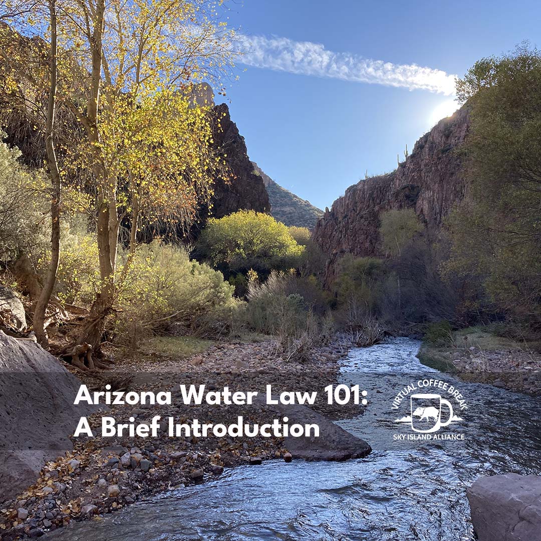 Coffee Break: Arizona Water Law 101