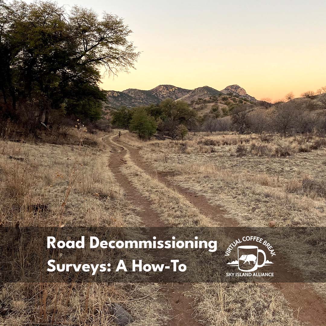 Road decommissioning