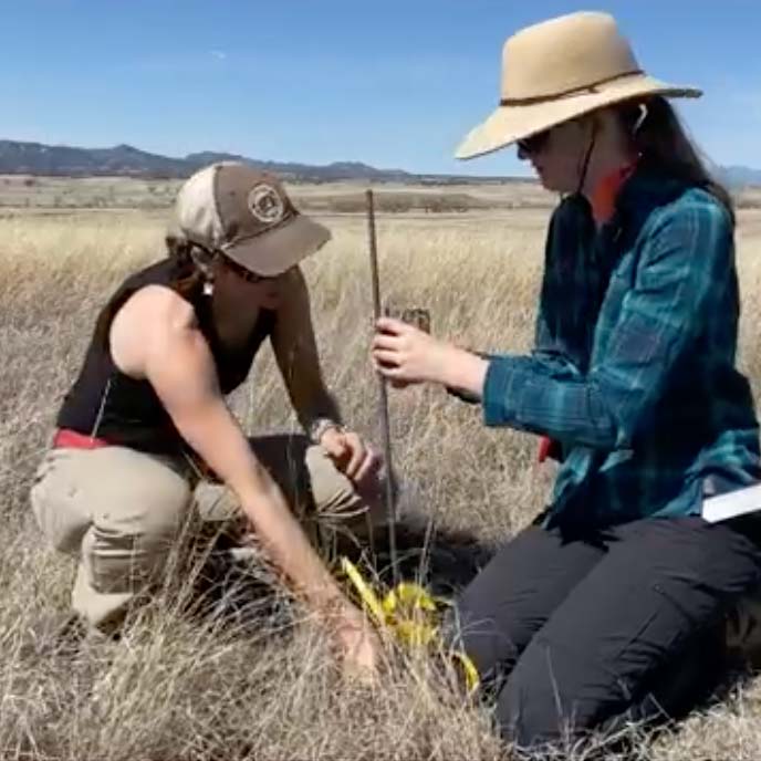 Field-work-Meagan-Louise-SIA-square - Sky Island Alliance