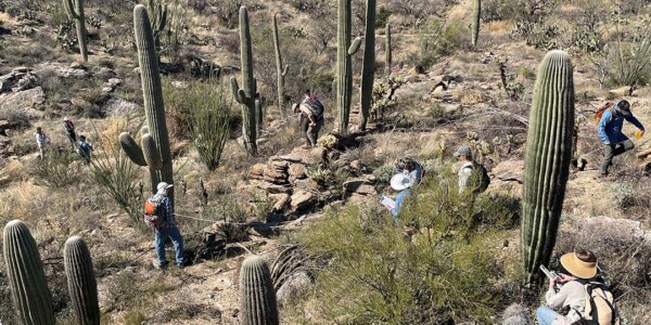 Saguaro volunteers