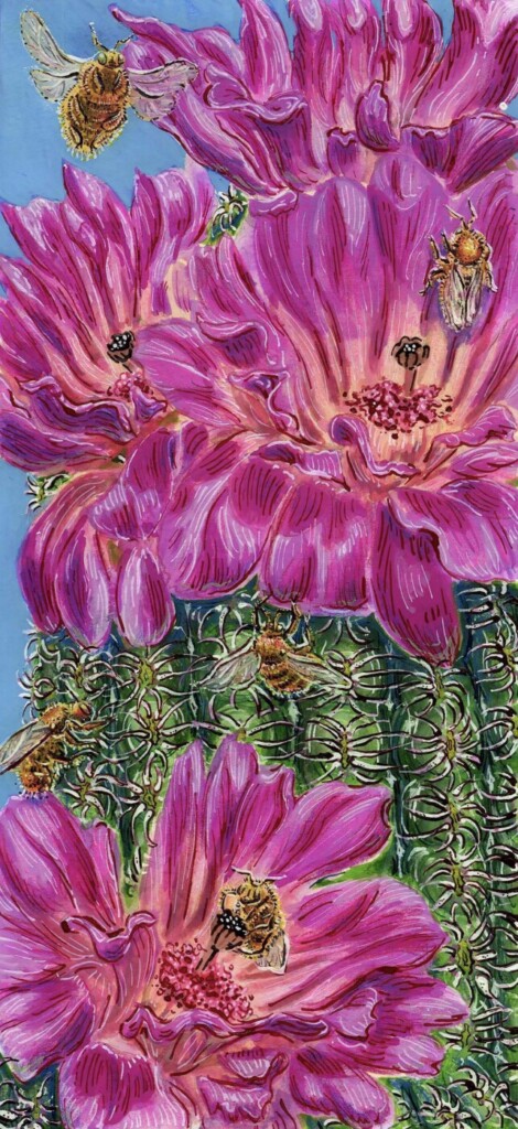 Rainbow hedgehog cactus and carpenter bee by Mary Mitchell.