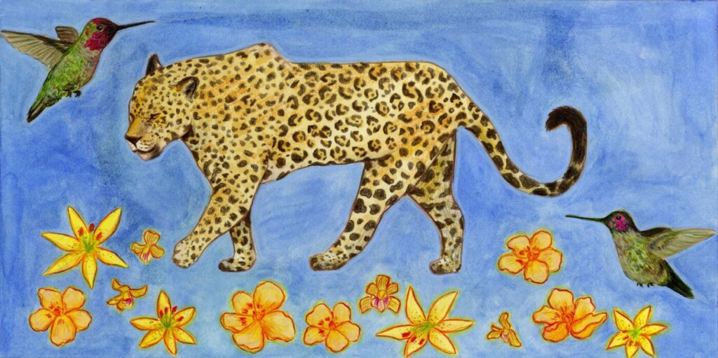 Illustration of jaguar and hummingbirds by Anna Nagy.