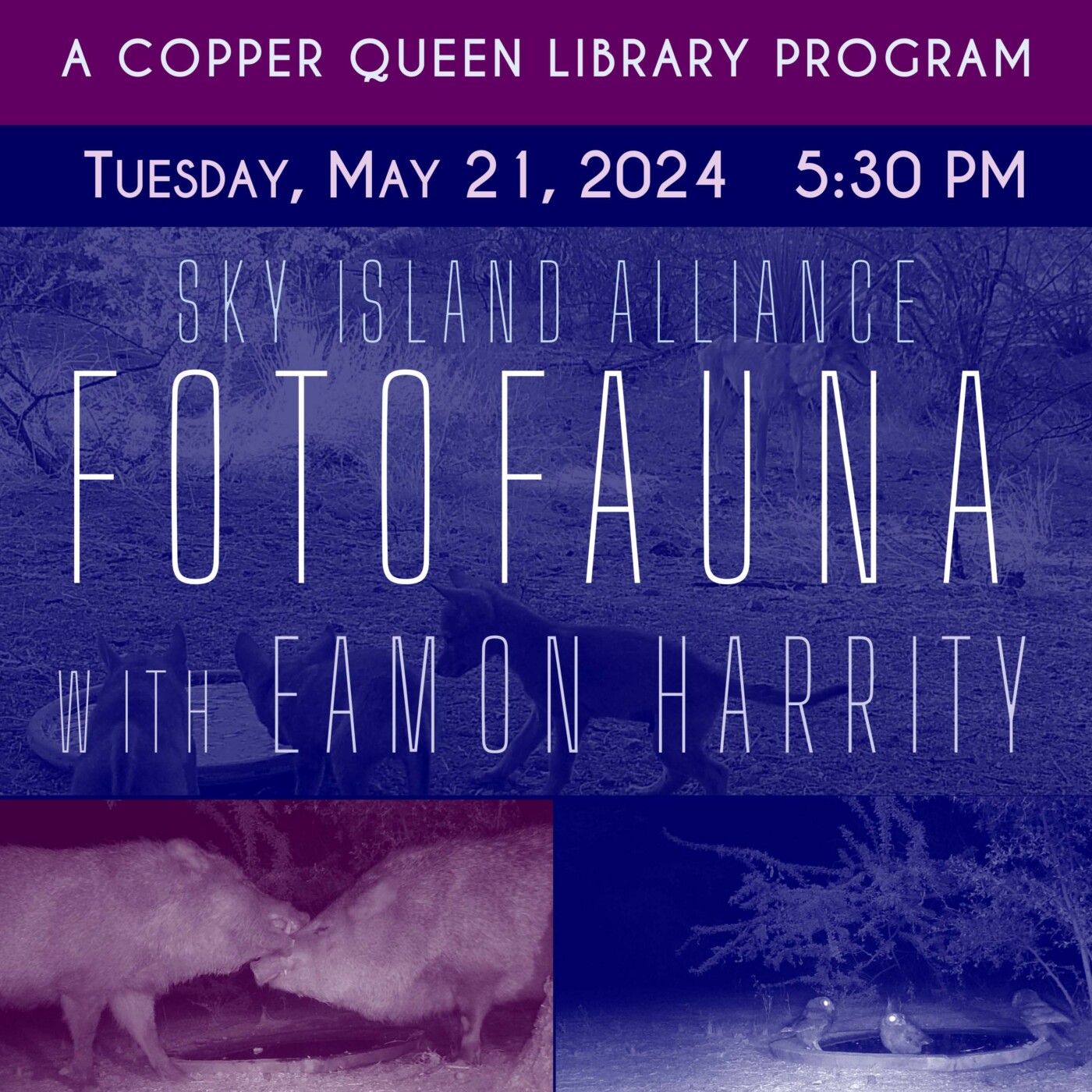 Copper Queen Library kickoff event for FotoFauna