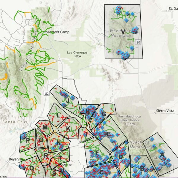 Road rewilding survey map