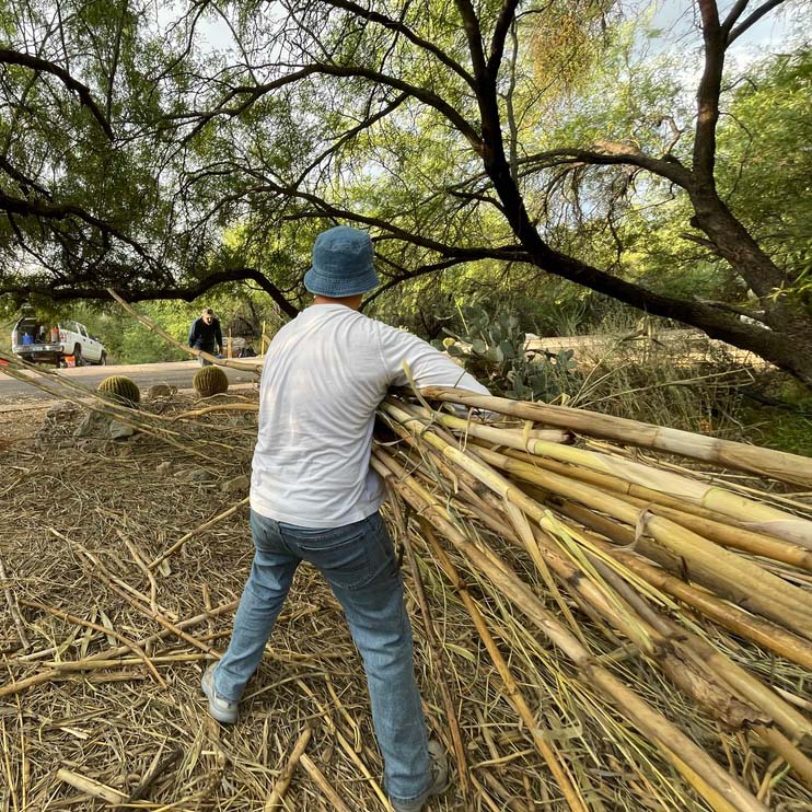 The image for ‘Spring Cleaning’ Weed Removal at Tucson Springs