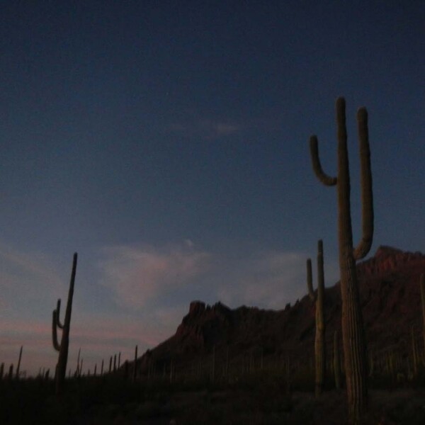 Organ Pipe National Monument