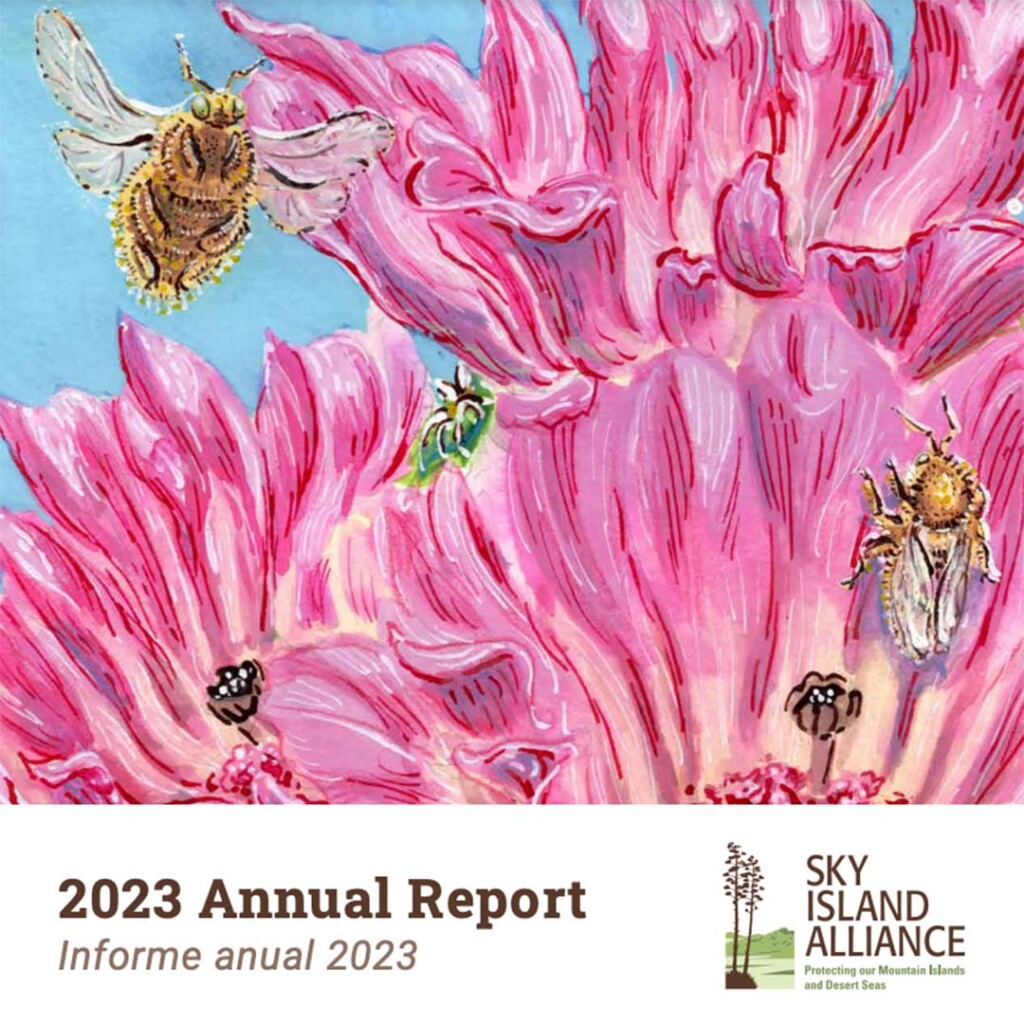 Annual Report 2023