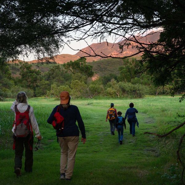 Volunteers surveying fireflies