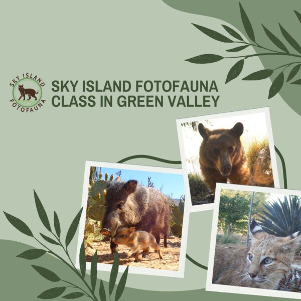 Sky Island FotoFauna class