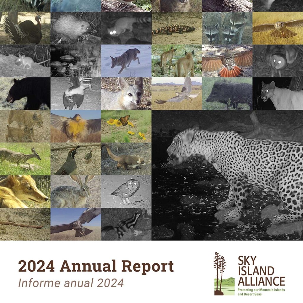 2024 Annual Report