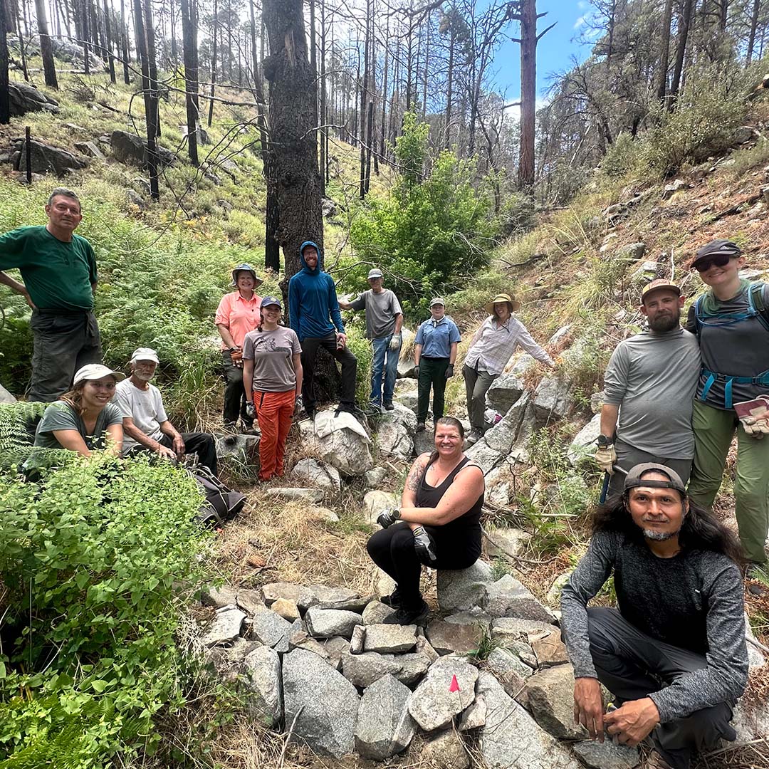 Volunteers in the Catalinas