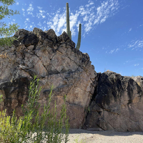 Spring at Davidson Canyon