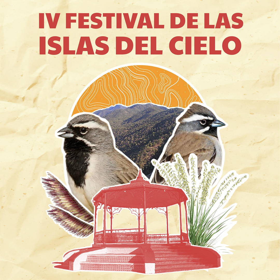 Festival 2025
