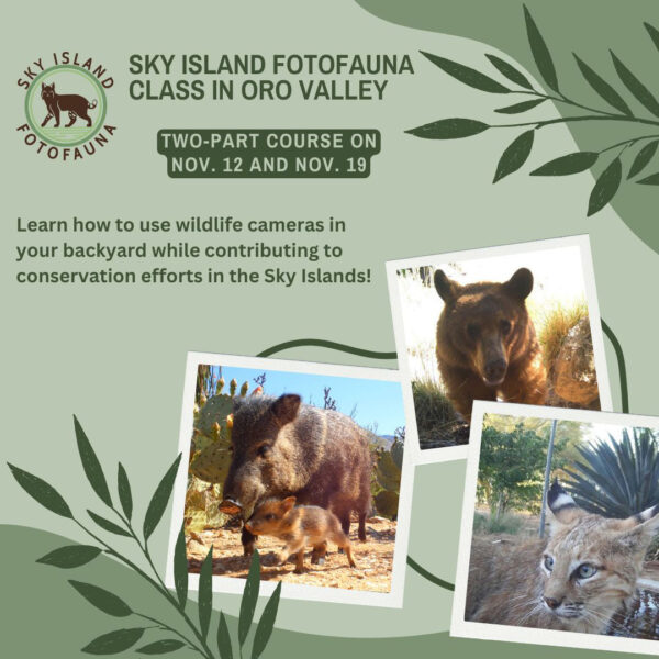 FotoFauna class in Oro Valley