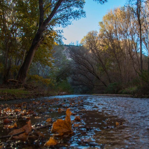 Aravaipa Creek