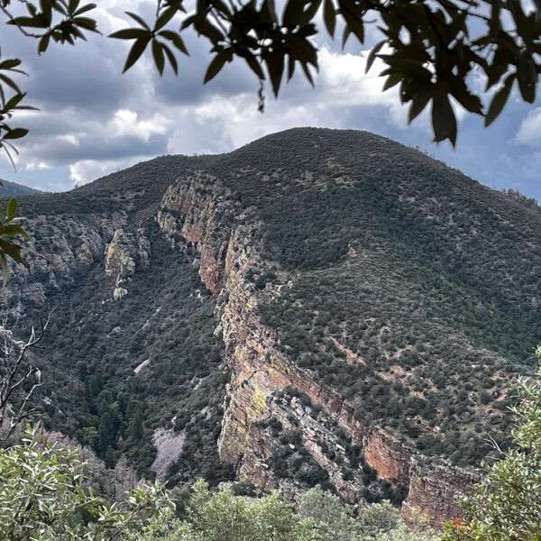 Carr Canyon