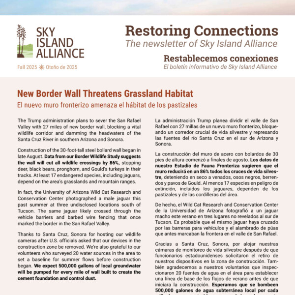 Fall 2025 Newsletter