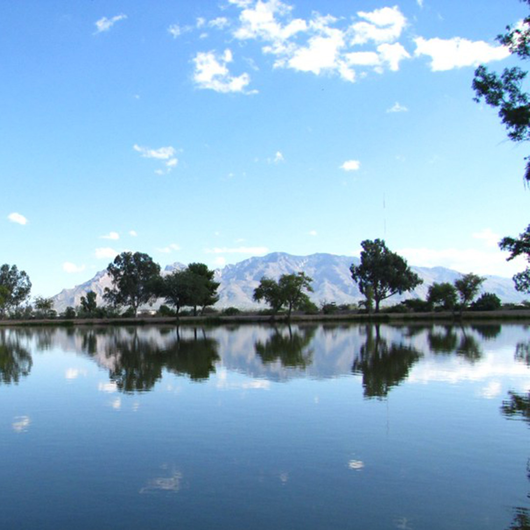 Silverbell Lake