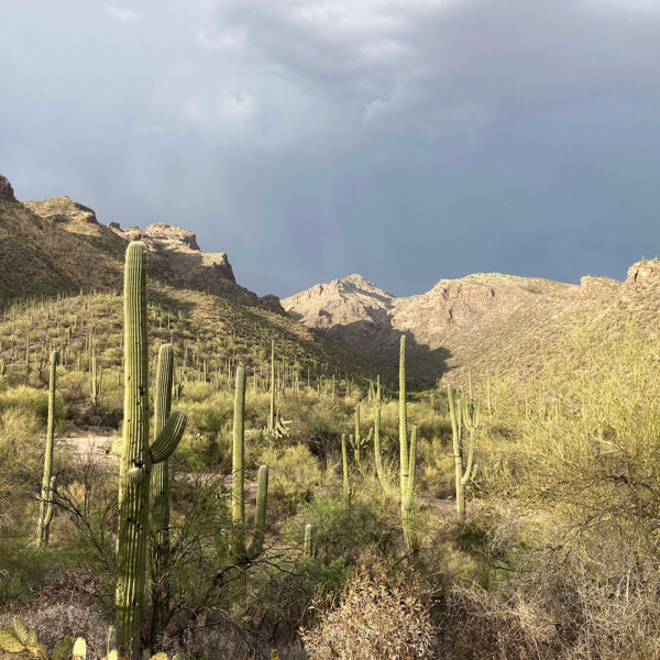 Bear Canyon