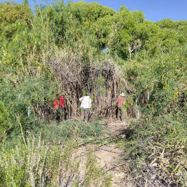 Rock Ledge Spring