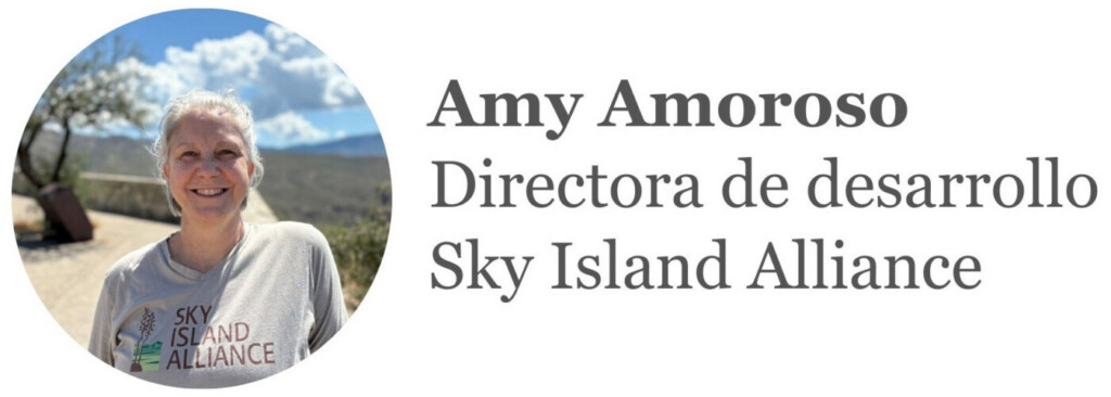 Amy Amoroso
