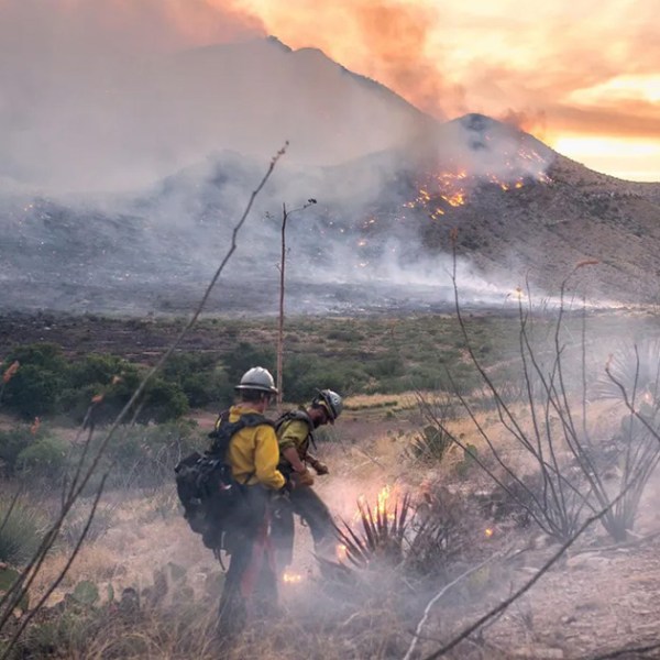 2017 Lizard Fire in Dragoons