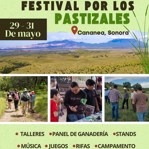 Festival de los Pastizales