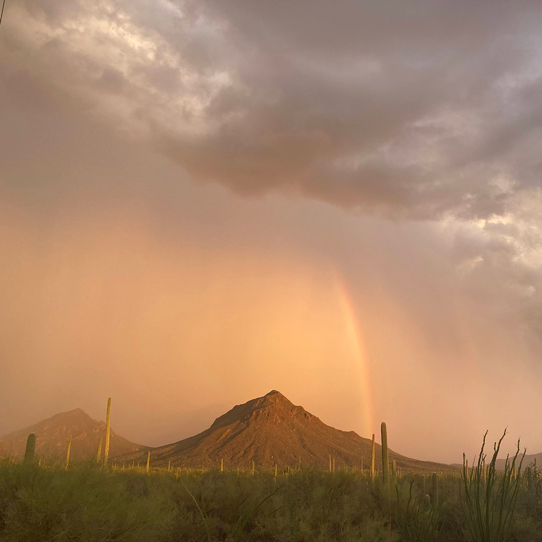 Monsoon rainbow