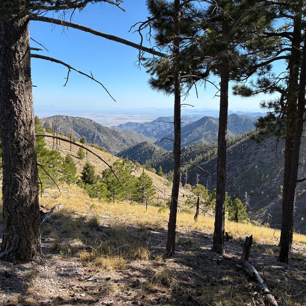 Chiricahua Wilderness