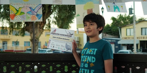 Drawing contest